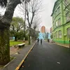 joaquin_j19