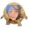 niaditsx