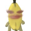 nocjey
