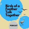 birds.of.a.feather.pod