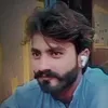 ali.shan5006