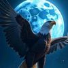user58851691677iyad