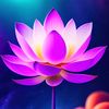 raju.ahmed009