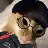 ngntrn4017