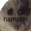 __hampter___