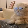 englotisread