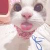tamaraaa_pipoii