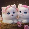 cute_mano_cute