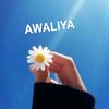 umi.awaliya