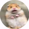 chpmonk