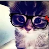 hellokitty.is.my.gf
