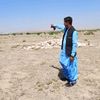 ameenrustamani_king_302