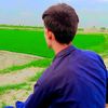 sharazshaikh6