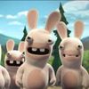 dead rabbit was killed