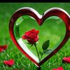 user2010169593307