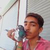 alirizwan3601