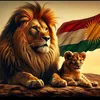 hamay_hajy88
