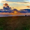 lily_15451