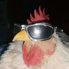 traviscoot911