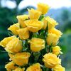 djgfhiugg2222