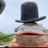 timyr_fish