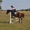 bgixeq