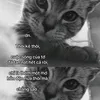 nene_2303