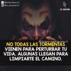 alexander.guerra51