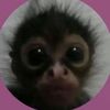 itsmee1491