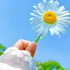 islam.hbiba