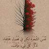 user6256112868254