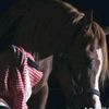 abdullah.alsharma