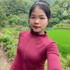 tb_626