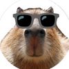 capybara_play1234527