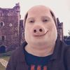 kaykaytaylaafayra