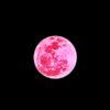 _zayu.suyon_