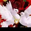 user4953015999210