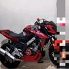 raja65879