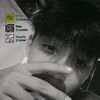 alzyv3_
