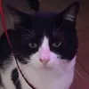 user6c4ufr5g3j