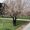 yasin.sidiqi