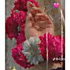 zarnabkhan328