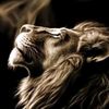 mupaarig_12