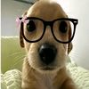 ...mynameisnim