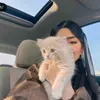 rania.fars