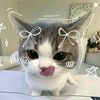 jooyaa_joyy