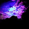 vallen_d.set
