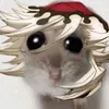 _banhtroixanhle_