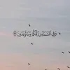 zainab53354