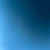 fukczcguras